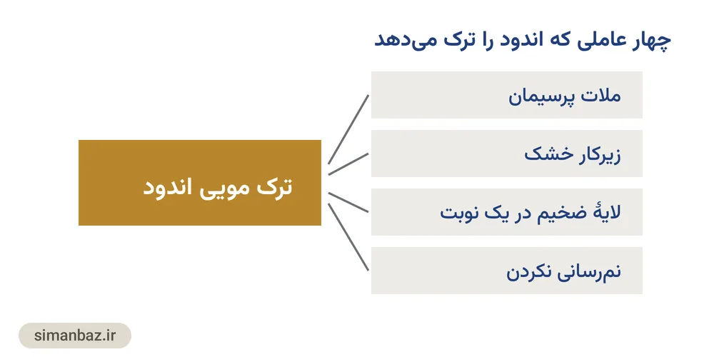 نمودار چهار علت ترک اندود سیمانی و سهم هرکدام از ترک مویی سطح دیوار